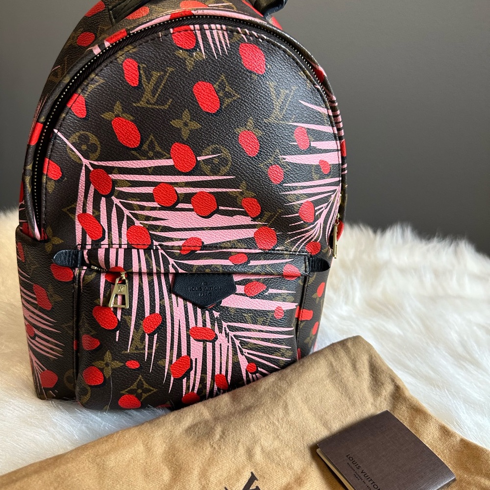 Louis Vuitton Palm Spring Leather Backpack